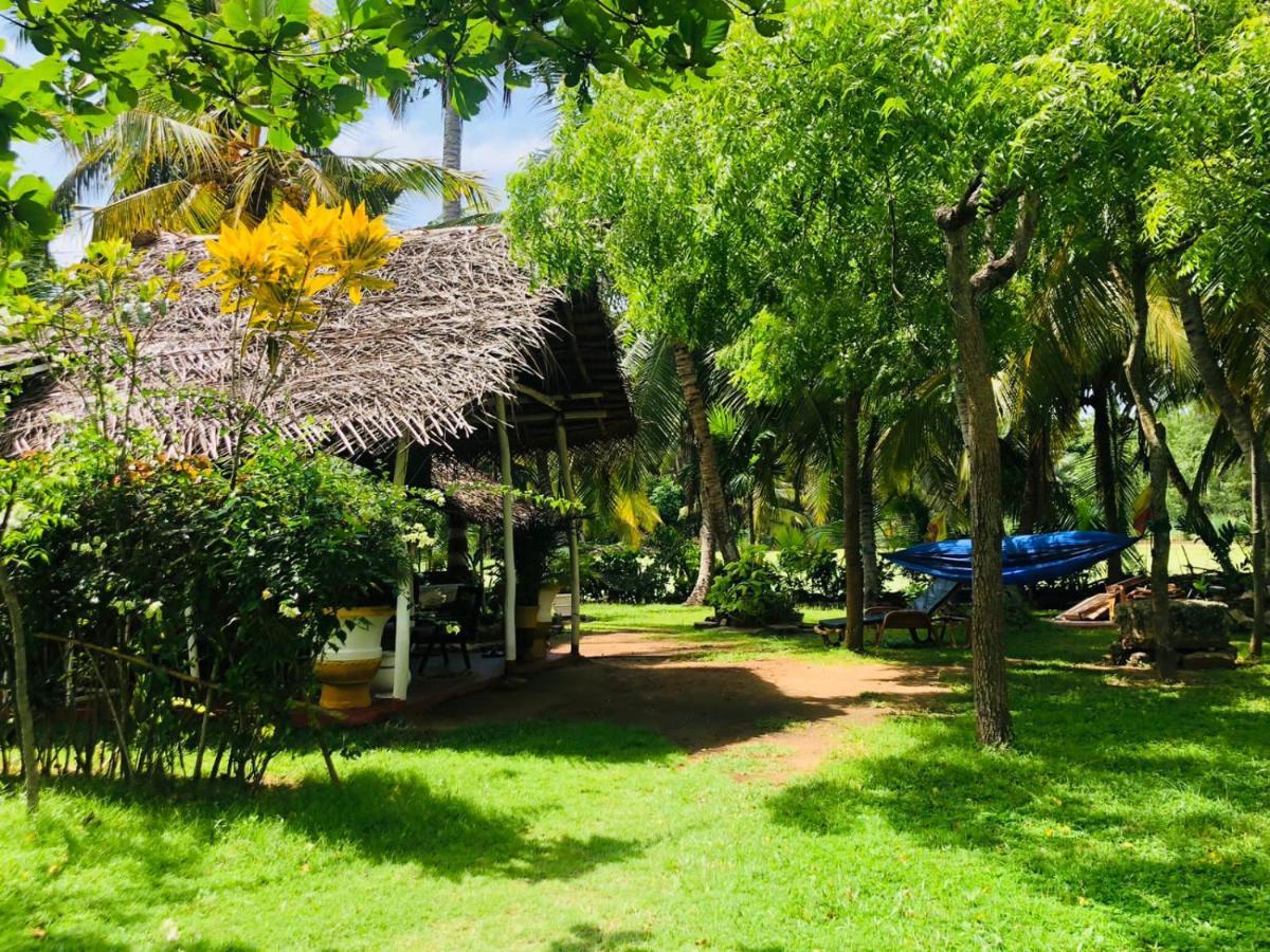 Lake View Cabana Paradise & Villa Tangalle Eksteriør bilde