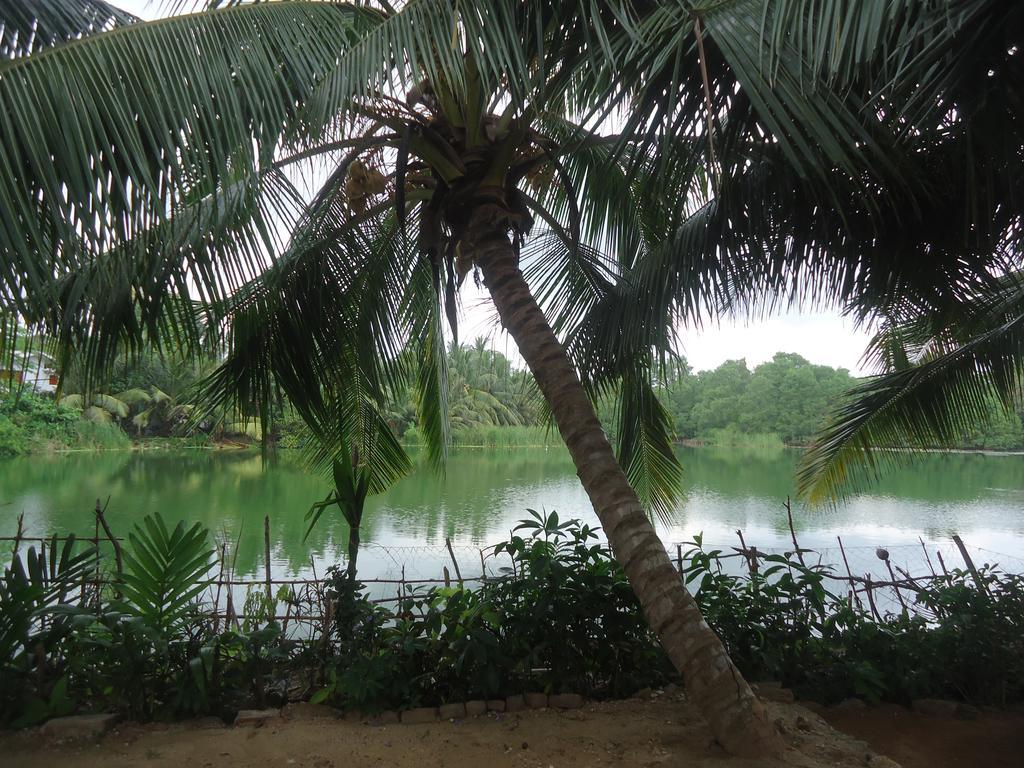 Lake View Cabana Paradise & Villa Tangalle Eksteriør bilde